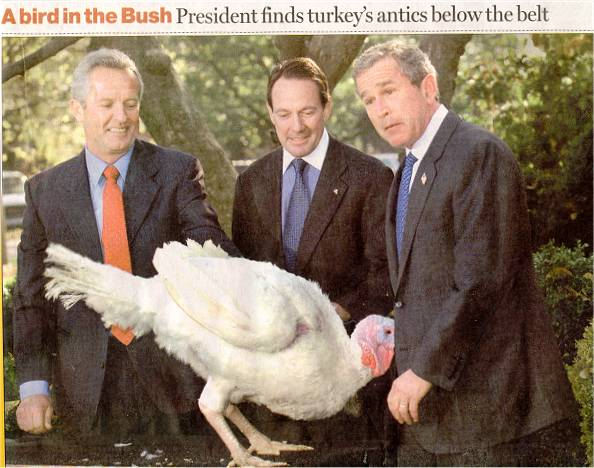 Turkey pecking at Bush's groin